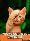 Video gif. A kitten has one paw covering their eye and their little mouth has fallen open. Text, "You've got to be kitten me."