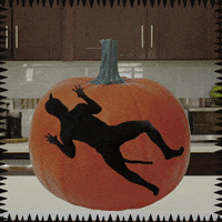 Digital art gif. James Koroni dressed as a black cat clinging to a giant pumpkin on a kitchen countertop. He turns to face us and says, “Hey pumpkin!” wiggling his eyebrows suggestively.