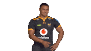 Rugby Sticker by Wasps