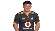 Rugby Sticker by Wasps
