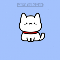 What Are You Doing Cat GIF by Lord Tofu Animation