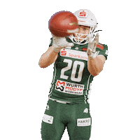 Rannfl Itsallabouttheu Sticker by Schwäbisch Hall Unicorns