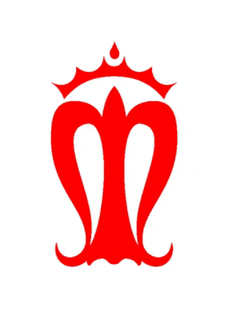 facultadsalus fisioterapia enfermeria soysalus salusinfirmorum GIF