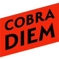 Stocks Trader Sticker by Cobra Trading