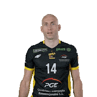 Volleyball Win Sticker by PGE GiEK Skra Bełchatów