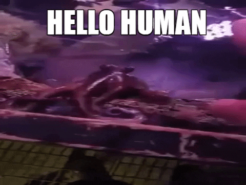 Laendle giphygifmaker GIF