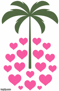 CandyCoatedExperiences candy tropical experience tourism GIF