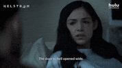 Tom Austen Helstrom GIF by HULU