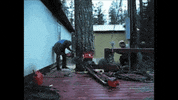 lumberjack thinks GIF