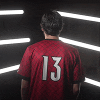 University Of Louisville Sample GIF by Louisville Cardinals