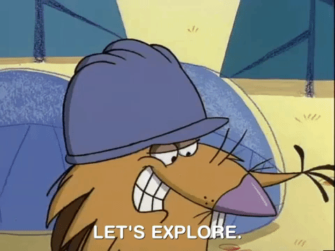 nickrewind giphydvr nicksplat angry beavers giphyab015 GIF