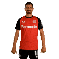 Bayer 04 Love Sticker by Bayer 04 Leverkusen