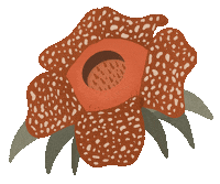 Hutanituindonesia indonesia forest jungle flora Sticker