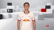 Happy Red Bulls GIF by Bundesliga