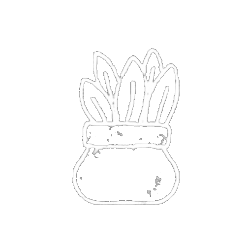 simonamarini2677 giphyupload white nature flower Sticker