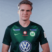fifa 18 football GIF by VfL Wolfsburg