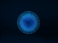 3D Flower GIF