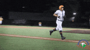 Home Run Baseball GIF by Coastal Plain League