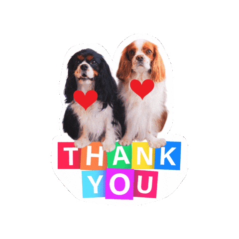 Cavalierkingcharlesspaniel Love Sticker