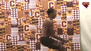 Cuc GIF by CUCougars