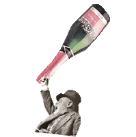 la_macarenavaldes collage champaign champana lamacarenavaldes Sticker