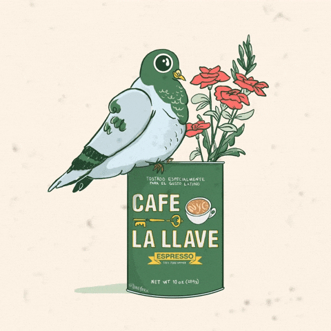 GIF by Cafe La Llave