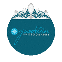 goodwinphotography headshot pageant tiara goodwin Sticker