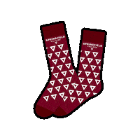 Socktober Sticker by Springfield College