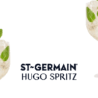 stgermaindrinks cheers happy hour spritz st germain Sticker