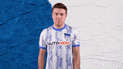 Football Soccer GIF by Hertha BSC