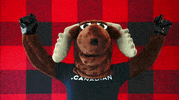 Canadian Party GIF by choose.ca