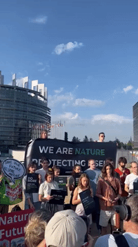 Greta Thunberg Calls on MEPs to Pass Nature Restoration Law at Strasbourg Demonstration