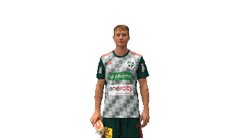Sport Handball Sticker by DIE RECKEN