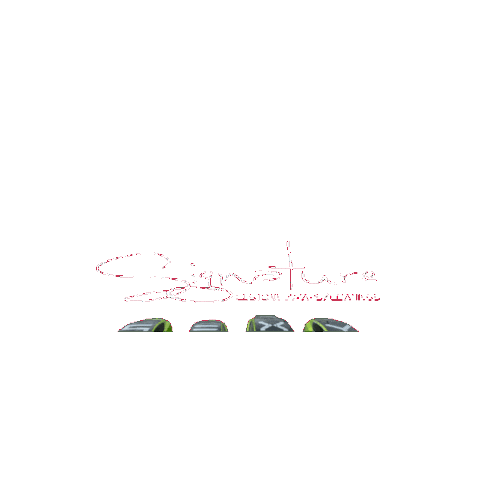 Sexy Car Sticker by Signature Customs