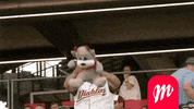 Mexico Luchador GIF by DiablosRojosMX