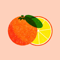 lea_fiszer orange fruit market vegetable GIF