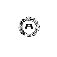 aztecateam Sticker by Azteca Records