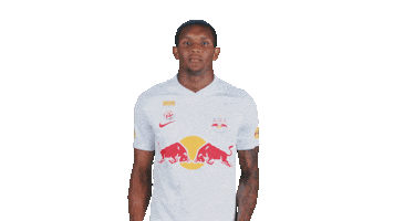 Football Sport Sticker by FC Red Bull Salzburg