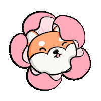 Shiba Inu Dog Sticker by Stefanie Shank