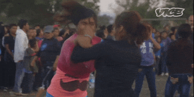 Cat-fight-punch GIFs - Get the best GIF on GIPHY