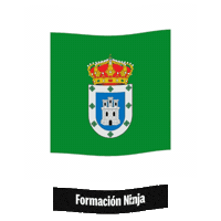 Flag Spain Sticker by Formación Ninja