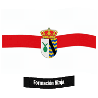 Flag Spain Sticker by Formación Ninja