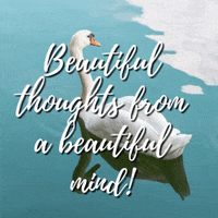 Love It Smz GIF