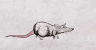 Animation 2D GIF by Jonathan Ostos Yaber