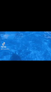Fashion Swimming GIF by Casol