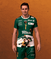 Point Win GIF by trefl_gdansk