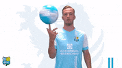 Cfc Keller GIF by ChemnitzerFC