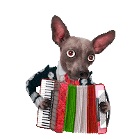 Celebrate Cinco De Mayo Sticker by chris timmons