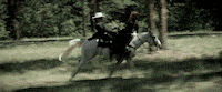 kiss me zorro GIF by Disney