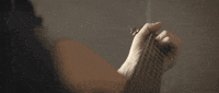 ofarevolution GIF by O.A.R.